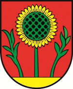 FK VADIČOV crest