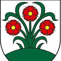 TJ Partizán Vrchteplá crest