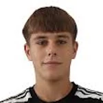 Strahinja Andjelic