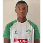 Wilfried Parfait Teukeu