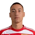Marin Ljubičić